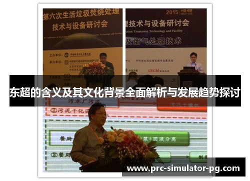 东超的含义及其文化背景全面解析与发展趋势探讨