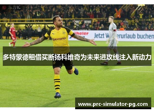 多特蒙德租借买断扬科维奇为未来进攻线注入新动力